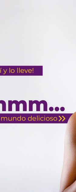 alpina3-koala-andina