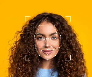 INNOVACION KOALA WEB copia